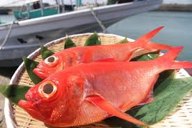 千葉県銚子の金目鯛の通信販売【高級】