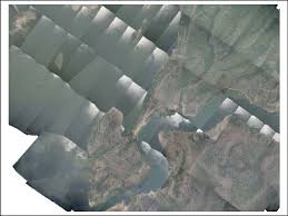 Image result for Pavetta pierlotii