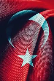 Oktay Helvaci Adli Kullanicinin Tur Panosundaki Pin 2021 Bayrak Dovme Modelleri Dovme