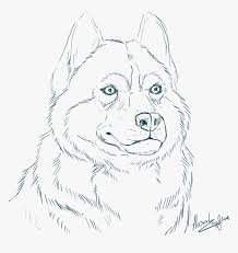 Husky wants to be fed. Siberian Husky Coloring Pages With Realistic Realistic Husky Coloring Pages Hd Png Download Kindpng