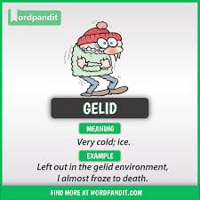 Meaning Of Gelid Learn English Vocabulary Learn English Words English Vocabulary Words