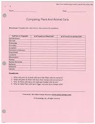 Comparing Plant And Animal Cells