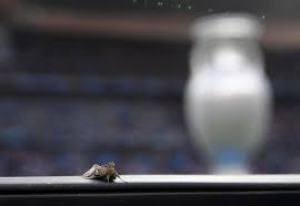 It was plagued by moths. Thousands Of Moths Invade Field Before Euro 2016 Final For The Win