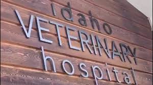 Rabies shots for your cat and dog are required by law in all states. Our Clinic Idaho Veterinary Hospital