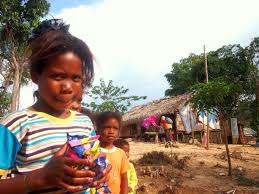 They're more diverse than we think! Globetrotter Day 1b Royal Belum S Jahai Tribe Orang Asli Tribe Royal Indigenous Peoples