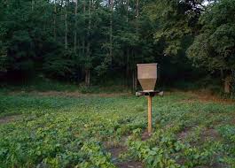 Food plots and ground blinds make for a deadly combination when bowhunting turkeys. The Benefits Of Using Food Plots And Feeders Banks Outdoors