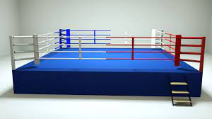 He learns the rules and regulation of that. Buy Dojo Olympic Size Boxing Ring Online Budopunkt
