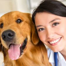While time has certainly gone by, we are just as passionate about caring for your diverse and beloved animal companions now as we were when we first opened our doors! The History Of Women In Veterinary Medicine In The U S Today S Veterinary Practice