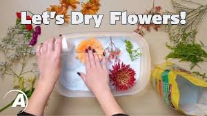 How florists dry flowers to keep them looking real. Preserving Dried Flowers In Epoxy Resin Alumilite Youtube