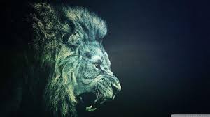 Find the best best background on wallpapertag. Best Wallpapers Wallpaper Cave