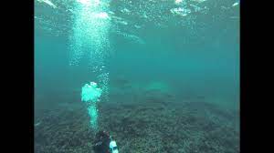 Usually, they cruise at around 0.9 to 5.8 mph (1.4 to 9.3 km/h), but have been found to swim up to 22 mph (35 km/hr) when. Turtle From Finding Nemo Drifting Along The East Australian Current Youtube