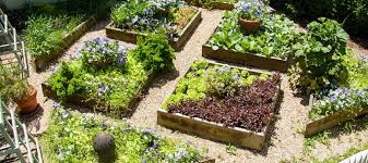 Collect soil from different areas of the garden and mix together into one soil sample. How To Equip The Suburban Area Of 10 Acres With Their Own Hands 29 Photos Landscaping And Landscaping Around The House