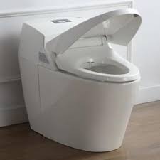 Ove Decors Godfrey White Touchless Flush Elongated Standard Height 2 Piece Toilet 12 In Rough In Size At Lowes Com Smart Toilet Bidet Modern Toilet