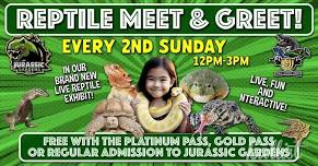 Live Interactive Reptile Meet and Greet at Volo Museum