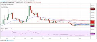 Trade ideas, forecasts and market among ltc, bch is also consoildating at all time high prices. Top 5 Crypto Performers Overview Eos Ethereum Bitcoin Cash Binance Coin Stellar Blockchain Bitcoin Marketing Data
