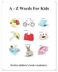 Zany (adj.) silly or amusing. A Z Words For Kids Picture A Z Words For Kids English Chinese Language Hu Yang 9781090654045 Amazon Com Books