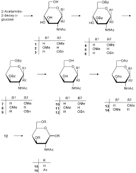 Quality confirmed by nmr & hplc. Synthesis Of 4 Deoxy Analogues Of 2 Acetamido 2 Deoxy D Glucose And 2 Acetamido 2 Deoxy D Xylose And Their Effects On Glycoconjugate Biosynthesis Sciencedirect