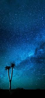 Image Result For Tumblr Drake Wallpaper Art Drake Iphone Wallpaper Tumblr Iphone Wallpaper 2 Wallpaper Here are handpicked best hd drake background pictures that you can download for free. image result for tumblr drake wallpaper