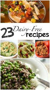 23 Dairy Free Recipes The Realistic Mama Dairy Free Recipes Easy Soy Free Recipes Allergy Free Recipes