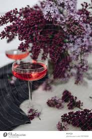 Cocktail With Lilac Bar A Royalty Free Stock Photo From Photocase