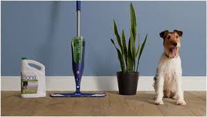 Bona Loyalty Club Bonafide Fanatics Bona Us Loyalty Club Bona Floor Care