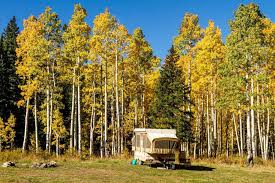 What is right for you? 21 Things To Know Before Buying A Pop Up Tent Trailer Camper Report