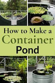 Container Pond Love Who Knew The Impatient Gardener Container Water Gardens Water Gardens Diy Container Pond