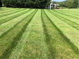 Forrest R. Stieg, PMP, ITILv4, CSM