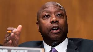 Bầu ứng viên tổng thống đảng Cộng hòa: Vẫn còn cơ hội cho đối thủ của ông  Trump