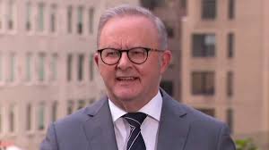 Lunacy': Punters flood bookies with bets