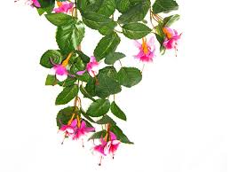 Pendenti png & psd images with full transparency. Fuchsia Fiorfiore