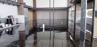 Try our new trualloy™ metallic coating line. Metallic Epoxy Flooring Garage Floor Epoxy Des Moines Iowa