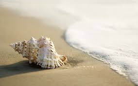 We have a massive amount of desktop and mobile backgrounds. 50 Wallpaper Collection Zip On Wallpapersafari