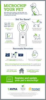 Talking Microchips For Dogs On National Check Your Chip Day Losing A Dog Vet Clinics Pets