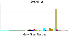 Insulin Like Growth Factor 1 Wikipedia