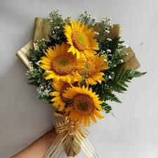 Bunga matahari adalah sebuah bunga yang memiliki ciri khusus yaitu setiap berbunga selalu mengikuti arah cahaya matahari. Buket Bunga Matahari Bunga Hadiah Wisuda Bunga Kering Kado Souvenir Pesta Shopee Indonesia