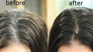 Natural Hair Dye For Instant Black Hair Turn White To Black Hair In 1 Dyed Natural Hair Hair Turning White Hair