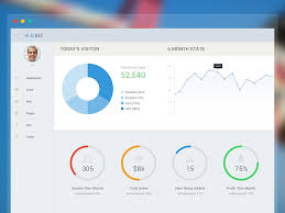 Ubiz Dashboard Wip Dashboard Web App Infographic