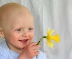 Hoy y desde el 2002, se celebra el día internacional del cáncer infantil, que surgió en venezuela, la fundación amigos del niño con cáncer con más de 25 años de trayectoria señala que la leucemia es el tipo de cáncer más común en los niños atendidos por esa institución, según el balance del 2011. En El Dia Nacional Del Nino Con Cancer