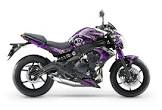 KAWASAKI-ER