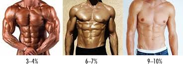 the skinny guys guide to body fat percentage bony to beastly