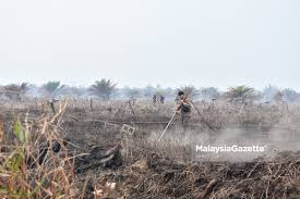 Kebakaran Hutan Simpan di Kuala Langat