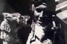 A Live Coyote Became an Army Air Forces Mascot In WWII England| Military.com