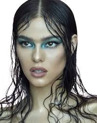 Shimmer glitter eyeshadow makeup look