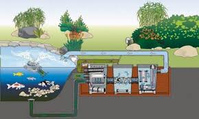 Filter Kolam Ikan Koi Begini Cara Membuatnya Di 2020 Kolam Ikan Aquaponics Kolam