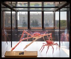 It has the largest leg span of any arthropod. Japanese Giant Spider Crab Google Arts Culture
