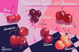 We are cherry hill's last working farm. Types Of Sweet Cherries From Bing To Tulare
