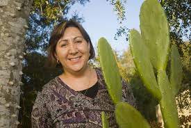 Trg was synthesized by thermal exfoliation of graphite various aspects of the sorption process have been studied including the sorption capacity, the recovery of the adsorbed oil, and the recyclability of trg. Desert Cactus Has Secret Talent For Purifying Water News Sarasota Herald Tribune Sarasota Fl