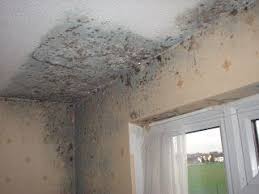 Damp In Buildings Part 1 Condensation How It Occurs If Left Untreated Condensation Can Become A Si Improve Indoor Air Quality Condensation Mould Design