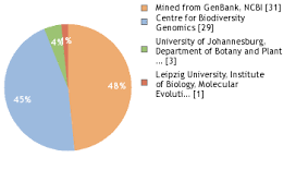 Image result for Rytigynia sp. M